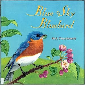 Blue Sky Bluebird