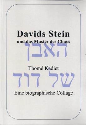 Bild des Verkäufers für Davids Stein und das Muster des Chaos - Eine biographische Collage (farbige Ausgabe) zum Verkauf von PRIMOBUCH