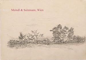 Landschaftsdarstellung mit Wiese und einigen Bäumen, im Hintergrund das "Pfefferbüchsel" bei Mari...