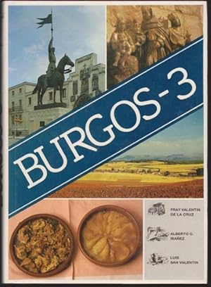 Seller image for BURGOS-3. VIAJE POR LA PROVINCIA DE BURGOS TRAS EL CONOCIMIENTO Y DISFRUTE DE SU PAISAJE, HISTORIA, ARTE Y GASTRONOMIA for sale by LIBRERIA TORMOS