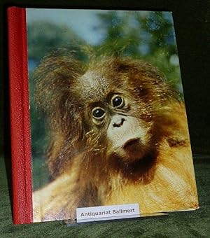 Bild des Verkufers fr Die schnsten Tiergeschichten der Welt II, (Vollstndiges Sammelbilderalbum). zum Verkauf von Antiquariat Ballmert