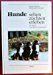 Hunde sehen - züchten - erleben. Das Buch vom Berner Sennenhun