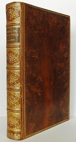 Gustavus Adolphus and the Struggle of Protestantism for Existence {Riviere Binding}