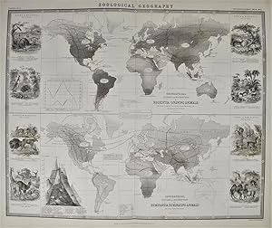 Zoological Geography. Rodentia .Ruminantia. Phytology & Zoology No. 5.