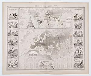 Zoological Geography. Birds of Europe [and] over the World. Phytology & Zoology No. 6.