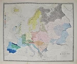 Ethnographic Map of Europe.according to Dr. Gustaf Komst. Phytology & Zoology No.8.