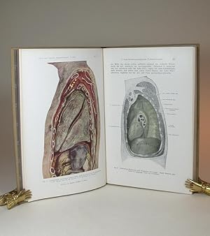 Bild des Verkufers fr Lungenchirurgie. Zweite Auflage. zum Verkauf von Librarium of The Hague
