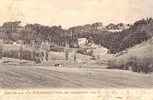 Ansichtskarte Gruss aus dem Steinbachthal bei Bernstadt in Sachsen