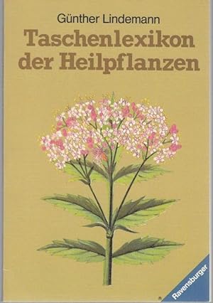 Bild des Verkufers fr Kleines Lexikon der Heilpflanzen zum Verkauf von Graphem. Kunst- und Buchantiquariat
