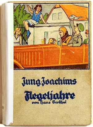 Jung-Joachims Flegeljahre; Eine Erzählung Für Knaben Und Mädchen
