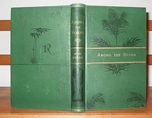 Among the Boers: or, Notes of a Trip to South Africa in Search