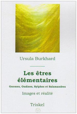 Bild des Verkufers fr Les Etres Elementaires zum Verkauf von JLG_livres anciens et modernes