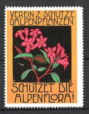 Immagine del venditore per Reklamemarke Verein zum Schutze der Alpenpflanzen, rote Pflanze venduto da Bartko-Reher