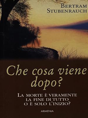 Bild des Verk�ufers f�r Che cosa viene dopo? zum Verkauf von Librodifaccia