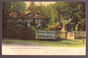 Ansichtskarte Pension Schweizerhaus im Lauchagrund