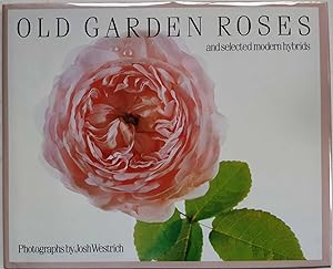 Seller image for Old Garden Roses and Selected Modern Hybrids for sale by Shoestring Collectibooks