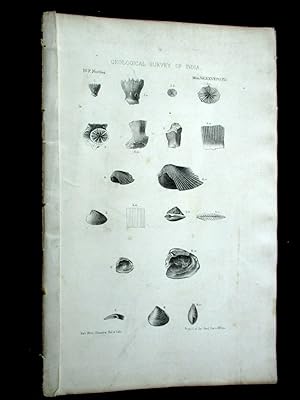 Plates 1 to 10 only from Memoirs of the Geological Survey of India. Vol XXVII Pt 1.