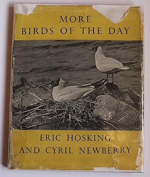 Imagen del vendedor de More Birds of the Day. a la venta por The Bookmonger