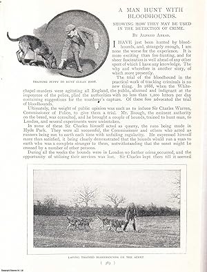 Image du vendeur pour A Man Hunt With Bloodhounds : Showing How They May Be Used In The Detection Of Crime. An uncommon original article from the Harmsworth London Magazine, 1898. mis en vente par Cosmo Books