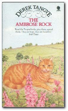 Seller image for The Ambrose Rock for sale by Darkwood Online T/A BooksinBulgaria