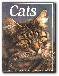 Bild des Verkufers fr Cats zum Verkauf von Darkwood Online T/A BooksinBulgaria