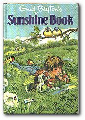 Seller image for Sunshine Book for sale by Darkwood Online T/A BooksinBulgaria