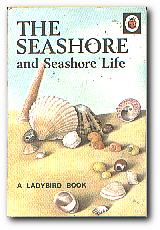 Seller image for The Seashore And Seashore Life for sale by Darkwood Online T/A BooksinBulgaria