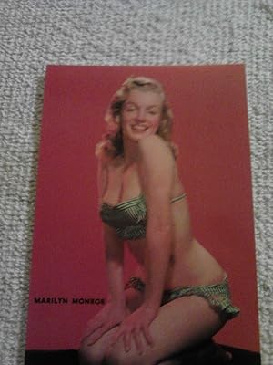 Marilyn Monroe: A Beautiful Eyeful [Postcard]