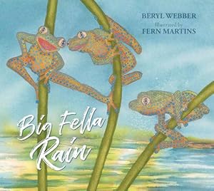 Seller image for Big Fella Rain (Paperback) for sale by Grand Eagle Retail