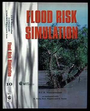 Flood Risk Simulation