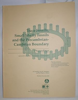 Trace Fossils, Small Shelly Fossils, and the Precambrian-Cambrian Boundary