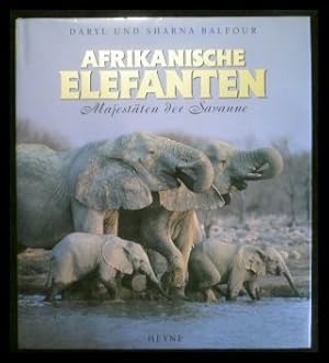 Afrikanische Elefanten