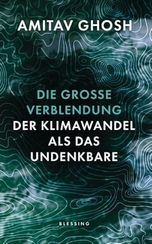 Bild des Verkufers fr Die groe Verblendung zum Verkauf von Rheinberg-Buch Andreas Meier eK