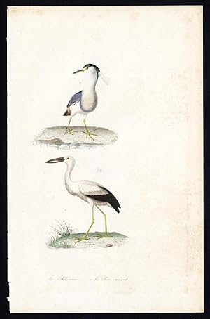 Antique Bird Print-NIGHT HERON-OPENBILL STORK-Buffon-Travies-1837