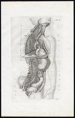 Antique Print-HUMAN ANATOMY-NEUROLOGY-NERVE-GANGLION-Richter-Schroter-1834