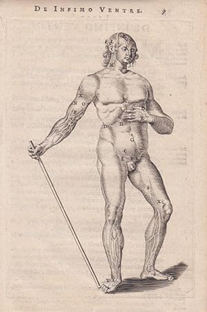 Antique Anatomy Print-HUMAN BODY-Bartholini-1666