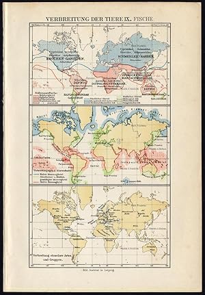 Antique Print-DISPERSION-FISH-MAP-Brehm-1890