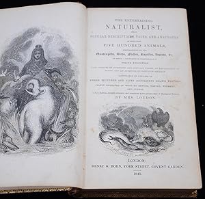 Bild des Verkufers fr Antique Book-ENTERTAINING NATURALIST-ANIMAL-WOODENGRAVING-Bewick-Loudon-1843 zum Verkauf von ThePrintsCollector