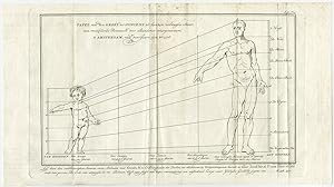 Antique Print-ANATOMY-TABLE-GROWTH-BOY-MATURE-STATE-Martinet-1779
