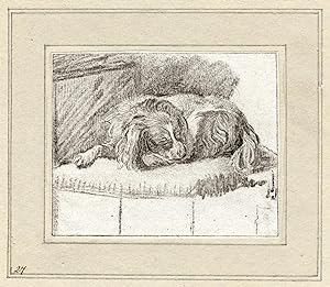 2 Antique Master Prints-DOG-SLEEPING-Ploos van Amstel/Brouwer-Van Mieris-1777