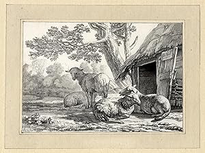 Antique Master Print-SHEEP-BARN-STABLE-Ploos van Amstel/Brouwer-Dujardin-1781