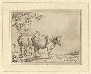 Antique Master Print-LANDSCAPE-COW-HORSE-FENCE-Bijlaert-Potter-1777