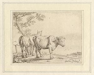 Antique Master Print-LANDSCAPE-FENCE-COW-HORSE-Bijlaert-Potter-1777