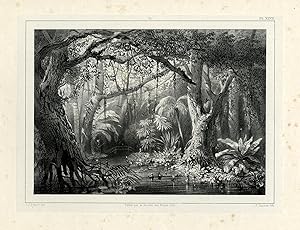Antique Print-SURINAME-MARSHLAND-SLAVERY-Lauters-Benoit-1839