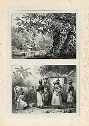 Antique Print-SURINAME-SLAVERY-MILK JUG-Madou-Benoit-1839