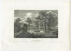 Antique Print-ALBANY-NEW YORK-HUDSON RIVER-Wall-Daumerlang-c. 1870