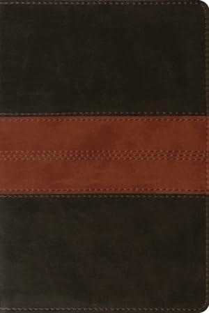Bild des Verkufers fr Holy Bible : English Standard Version, Trutone, Deep Brown/Tan, Trail, Personal Reference zum Verkauf von GreatBookPrices