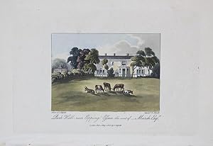 A Single Original Miniature Antique Hand Coloured Aquatint Engraving By J Hassell Illustrating Pa...