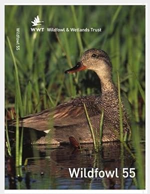 Immagine del venditore per Wildfowl 55 / E H Rave & Others "The Hawaiian Goose, Nene Branta sandvicensis" / R G Clark & Others "female Mallard Anas platyrhynchos and Gadwall Anas strepera" / M H Reynolds & T M Work "Laysan Teal Anas laysanensis" / P N Ferns & Others "Male Common Shelducks Tadorna tadorna" / L Nilsson "Wintering duck populations in the Oresund, southern Sweden" / N A McCutchen & R C Ydenberg "Harlequin Duck Histrionicus histrionicus" venduto da Shore Books