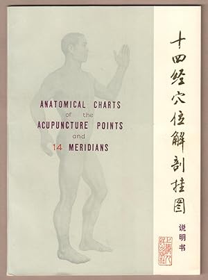 Imagen del vendedor de Anatomical Charts of the Acupuncture Points and 14 Meridians. a la venta por Antiquariat Neue Kritik